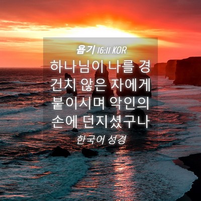 Picture 04 - 욥기 16:11 KOR - 하나님이 나를 경건치 않은 자에게 - Bible Verse Picture