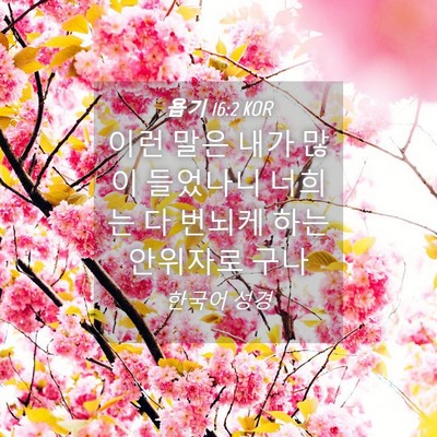 Picture 04 - 욥기 16:2 KOR - 이런 말은 내가 많이 들었나니 - Bible Verse Picture