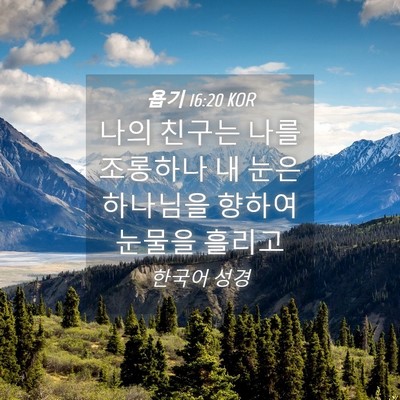 Picture 04 - 욥기 16:20 KOR - 나의 친구는 나를 조롱하나 내 눈은 - Bible Verse Picture