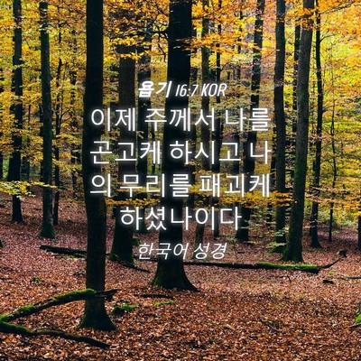 Picture 04 - 욥기 16:7 KOR - 이제 주께서 나를 곤고케 하시고 - Bible Verse Picture