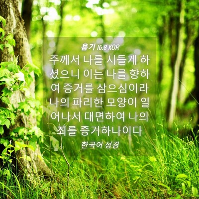 Picture 04 - 욥기 16:8 KOR - 주께서 나를 시들게 하셨으니 이는 - Bible Verse Picture