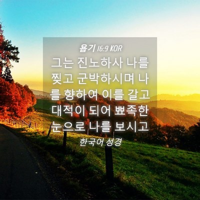Picture 04 - 욥기 16:9 KOR - 그는 진노하사 나를 찢고 군박하시며 - Bible Verse Picture
