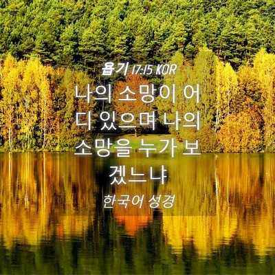 Picture 04 - 욥기 17:15 KOR - 나의 소망이 어디 있으며 나의 - Bible Verse Picture