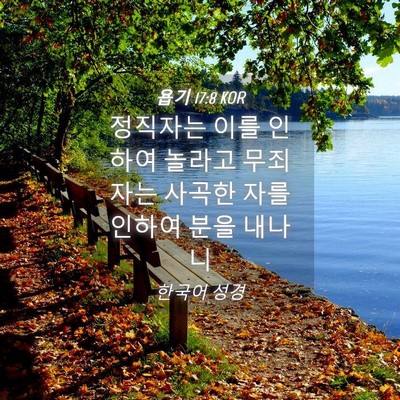 Picture 04 - 욥기 17:8 KOR - 정직자는 이를 인하여 놀라고 - Bible Verse Picture
