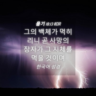 Picture 04 - 욥기 18:13 KOR - 그의 백체가 먹히리니 곧 사망의 - Bible Verse Picture