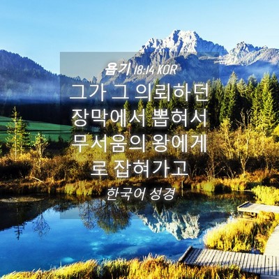 Picture 04 - 욥기 18:14 KOR - 그가 그 의뢰하던 장막에서 뽑혀서 - Bible Verse Picture