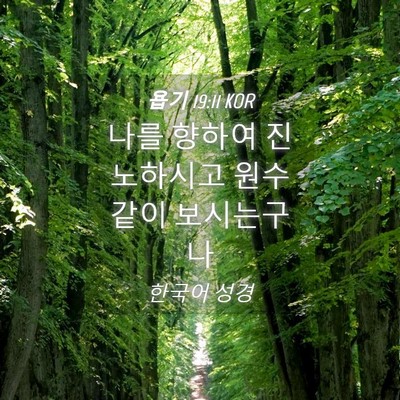 Picture 04 - 욥기 19:11 KOR - 나를 향하여 진노하시고 원수같이 - Bible Verse Picture
