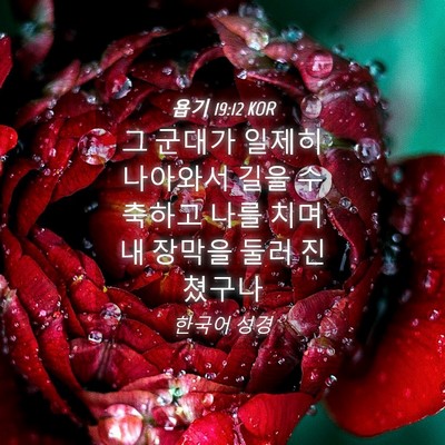 Picture 04 - 욥기 19:12 KOR - 그 군대가 일제히 나아와서 길을 - Bible Verse Picture