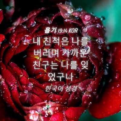 Picture 04 - 욥기 19:14 KOR - 내 친척은 나를 버리며 가까운 - Bible Verse Picture