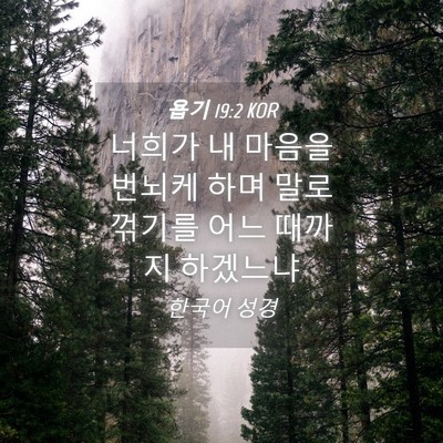 Picture 04 - 욥기 19:2 KOR - 너희가 내 마음을 번뇌케 하며 말로 - Bible Verse Picture