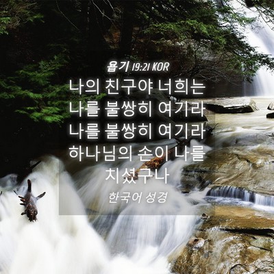 Picture 04 - 욥기 19:21 KOR - 나의 친구야 너희는 나를 불쌍히 - Bible Verse Picture