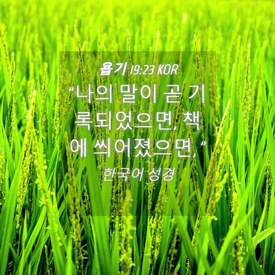 Picture 04 - 욥기 19:23 KOR - 