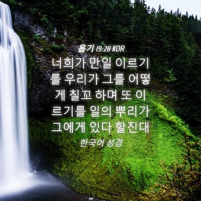 Picture 04 - 욥기 19:28 KOR - 너희가 만일 이르기를 우리가 그를 - Bible Verse Picture