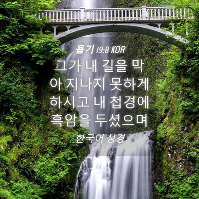 Picture 04 - 욥기 19:8 KOR - 그가 내 길을 막아 지나지 못하게 - Bible Verse Picture