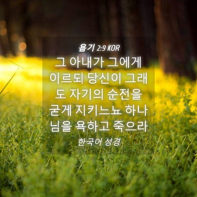 Picture 04 - 욥기 2:9 KOR - 그 아내가 그에게 이르되 당신이 - Bible Verse Picture