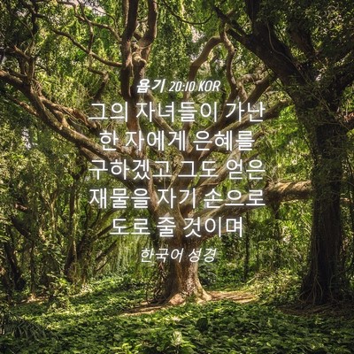 Picture 04 - 욥기 20:10 KOR - 그의 자녀들이 가난한 자에게 은혜를 - Bible Verse Picture