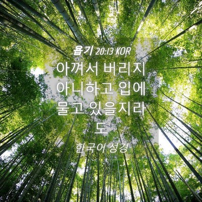 Picture 04 - 욥기 20:13 KOR - 아껴서 버리지 아니하고 입에 물고 - Bible Verse Picture