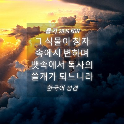 Picture 04 - 욥기 20:14 KOR - 그 식물이 창자 속에서 변하며 - Bible Verse Picture