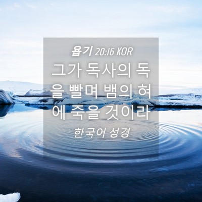 Picture 04 - 욥기 20:16 KOR - 그가 독사의 독을 빨며 뱀의 혀에 - Bible Verse Picture