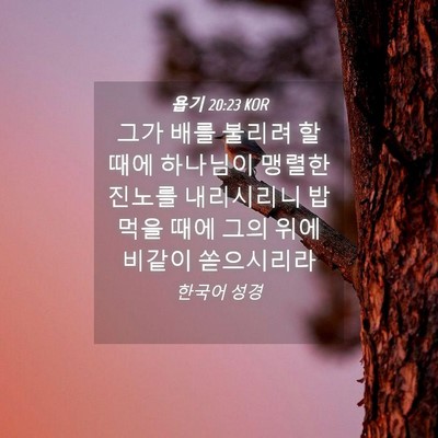 Picture 04 - 욥기 20:23 KOR - 그가 배를 불리려 할 때에 하나님이 - Bible Verse Picture