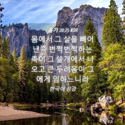 Picture 04 - 욥기 20:25 KOR - 몸에서 그 살을 빼어 낸즉 - Bible Verse Picture