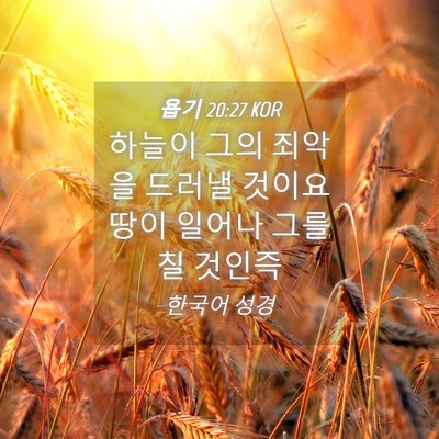 Picture 04 - 욥기 20:27 KOR - 하늘이 그의 죄악을 드러낼 것이요 - Bible Verse Picture