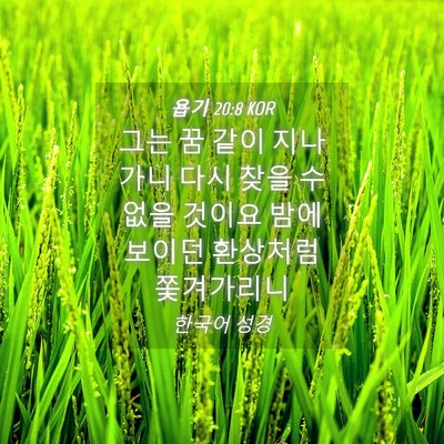 Picture 04 - 욥기 20:8 KOR - 그는 꿈 같이 지나가니 다시 찾을 수 - Bible Verse Picture
