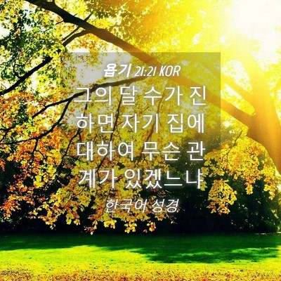 Picture 04 - 욥기 21:21 KOR - 그의 달 수가 진하면 자기 집에 - Bible Verse Picture