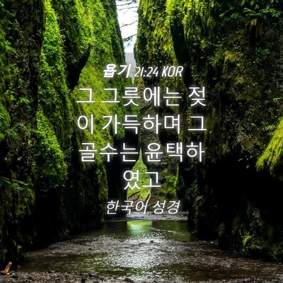 Picture 04 - 욥기 21:24 KOR - 그 그릇에는 젖이 가득하며 그 - Bible Verse Picture