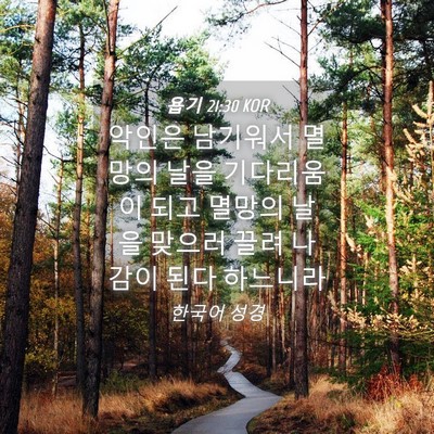 Picture 04 - 욥기 21:30 KOR - 악인은 남기워서 멸망의 날을 - Bible Verse Picture