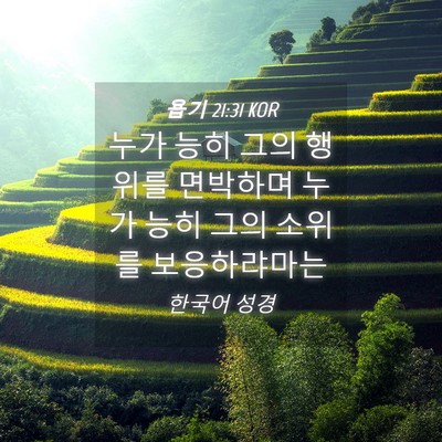 Picture 04 - 욥기 21:31 KOR - 누가 능히 그의 행위를 면박하며 - Bible Verse Picture