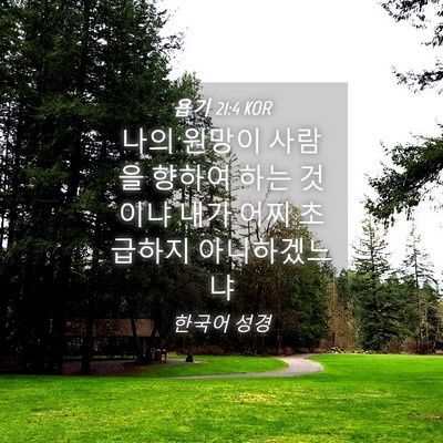 Picture 04 - 욥기 21:4 KOR - 나의 원망이 사람을 향하여 하는 - Bible Verse Picture