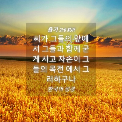 Picture 04 - 욥기 21:8 KOR - 씨가 그들의 앞에서 그들과 함께 - Bible Verse Picture