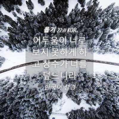 Picture 04 - 욥기 22:11 KOR - 어두움이 너로 보지 못하게 하고 - Bible Verse Picture
