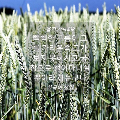 Picture 04 - 욥기 22:14 KOR - 빽빽한 구름이 그를 가리운즉 그가 - Bible Verse Picture
