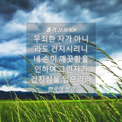 Picture 04 - 욥기 22:30 KOR - 무죄한 자가 아니라도 건지시리니 네 - Bible Verse Picture