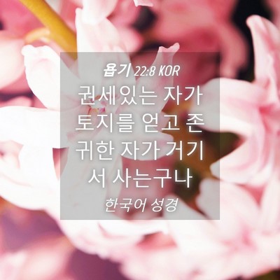 Picture 04 - 욥기 22:8 KOR - 권세있는 자가 토지를 얻고 존귀한 - Bible Verse Picture