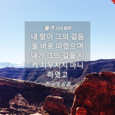 Picture 04 - 욥기 23:11 KOR - 내 발이 그의 걸음을 바로 따랐으며 - Bible Verse Picture