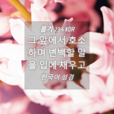 Picture 04 - 욥기 23:4 KOR - 그 앞에서 호소하며 변백할 말을 - Bible Verse Picture