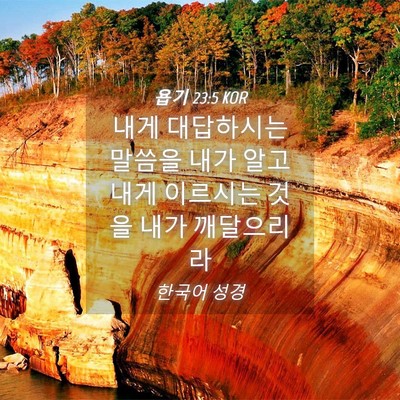 Picture 04 - 욥기 23:5 KOR - 내게 대답하시는 말씀을 내가 알고 - Bible Verse Picture