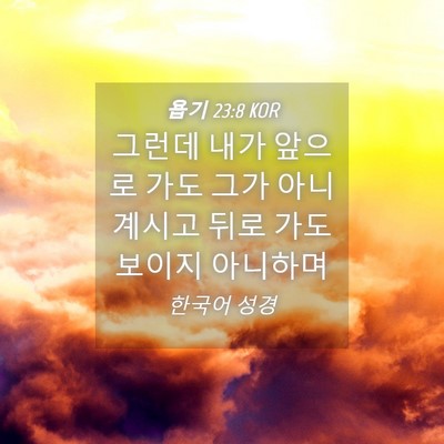 Picture 04 - 욥기 23:8 KOR - 그런데 내가 앞으로 가도 그가 아니 - Bible Verse Picture