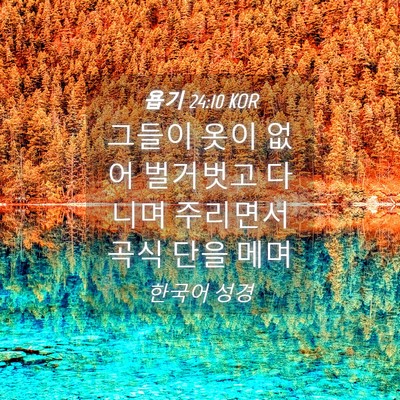 Picture 04 - 욥기 24:10 KOR - 그들이 옷이 없어 벌거벗고 다니며 - Bible Verse Picture