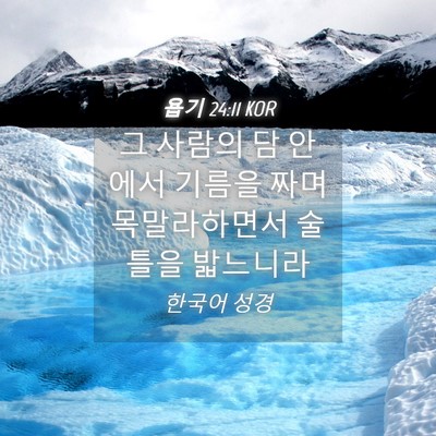 Picture 04 - 욥기 24:11 KOR - 그 사람의 담 안에서 기름을 짜며 - Bible Verse Picture