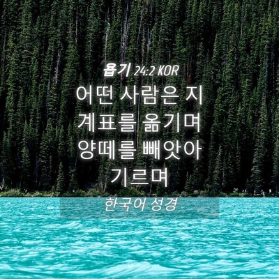 Picture 04 - 욥기 24:2 KOR - 어떤 사람은 지계표를 옮기며 양떼를 - Bible Verse Picture