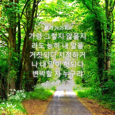 Picture 04 - 욥기 24:25 KOR - 가령 그렇지 않을지라도 능히 내 - Bible Verse Picture