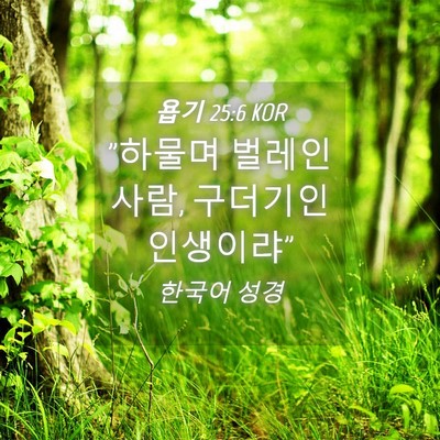 Picture 04 - 욥기 25:6 KOR - 