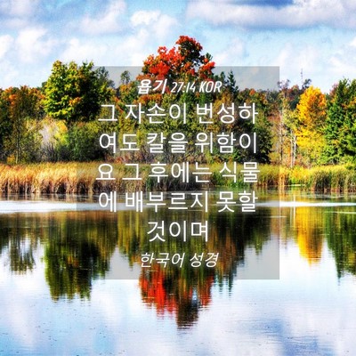 Picture 04 - 욥기 27:14 KOR - 그 자손이 번성하여도 칼을 위함이요 - Bible Verse Picture