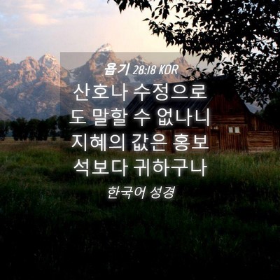 Picture 04 - 욥기 28:18 KOR - 산호나 수정으로도 말할 수 없나니 - Bible Verse Picture