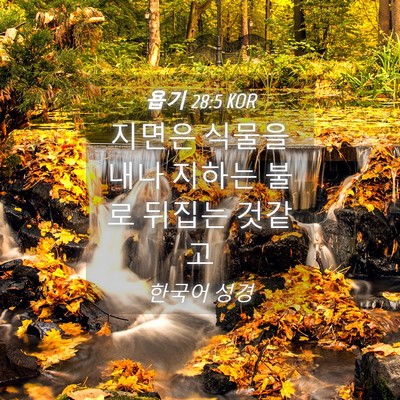 Picture 04 - 욥기 28:5 KOR - 지면은 식물을 내나 지하는 불로 - Bible Verse Picture