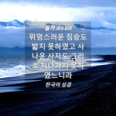 Picture 04 - 욥기 28:8 KOR - 위엄스러운 짐승도 밟지 못하였고 - Bible Verse Picture